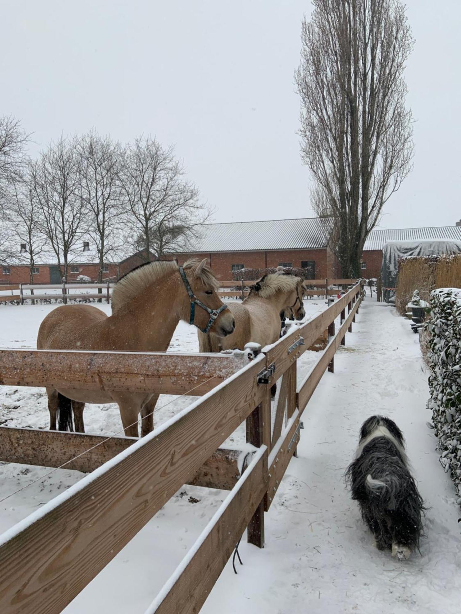 Heikant Hoeve Baarle-Nassau Dış mekan fotoğraf